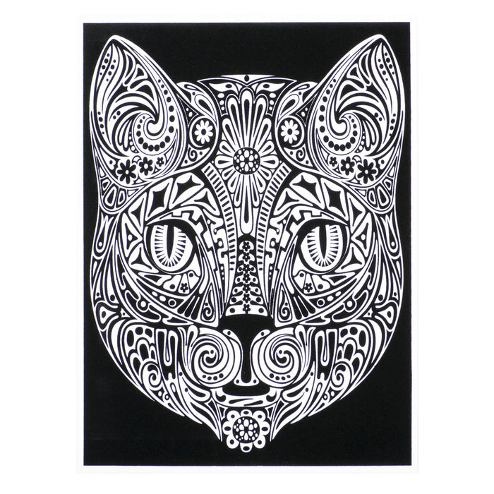 Розмальовка із оксамитовим рельєфним контуром та набором фломастерів 12 шт. "Carioca"  «CAT»