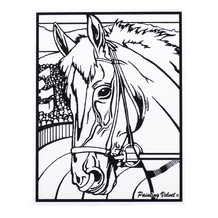 Розмальовка із оксамитовим рельєфним контуром та набором фломастерів 12 шт. "Carioca"  «Horse»