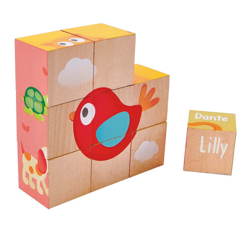 Іграшка дерев’яна головоломка балансир «Friendship Puzzle Blocks»